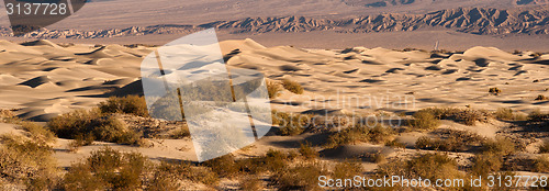 Image of Sand Dunes Death Valley Desert Mesquite Flat Grapevine Mountains