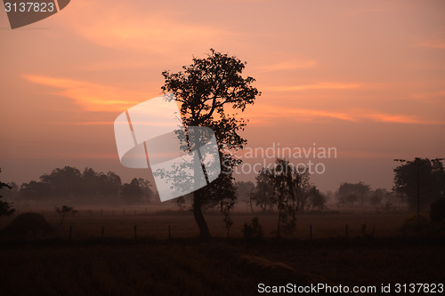 Image of ASIA THAILAND ISAN AMNAT CHAROEN