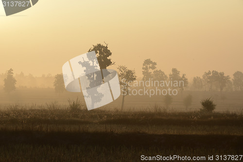 Image of ASIA THAILAND ISAN AMNAT CHAROEN