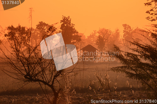 Image of ASIA THAILAND ISAN AMNAT CHAROEN