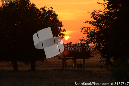 Image of ASIA THAILAND ISAN AMNAT CHAROEN