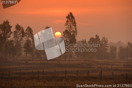 Image of THAILAND