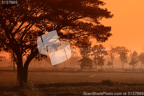 Image of ASIA THAILAND ISAN AMNAT CHAROEN