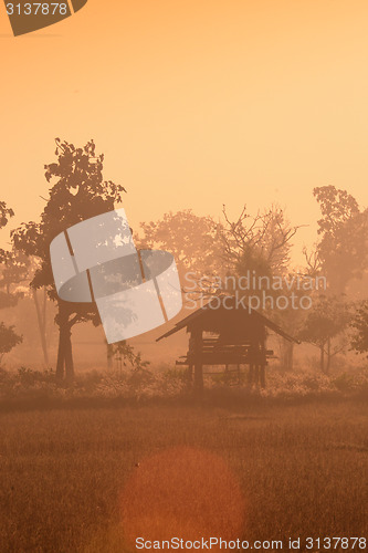 Image of ASIA THAILAND ISAN AMNAT CHAROEN