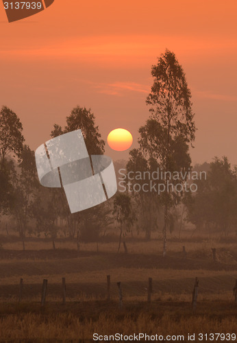 Image of ASIA THAILAND ISAN AMNAT CHAROEN