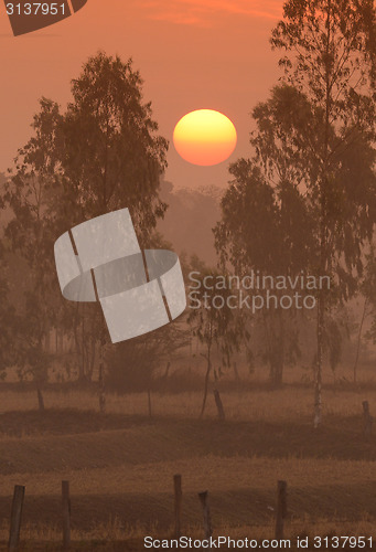 Image of ASIA THAILAND ISAN AMNAT CHAROEN