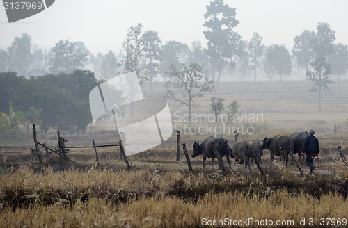 Image of ASIA THAILAND ISAN AMNAT CHAROEN