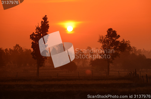 Image of ASIA THAILAND ISAN AMNAT CHAROEN