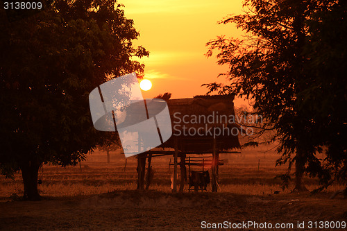 Image of ASIA THAILAND ISAN AMNAT CHAROEN