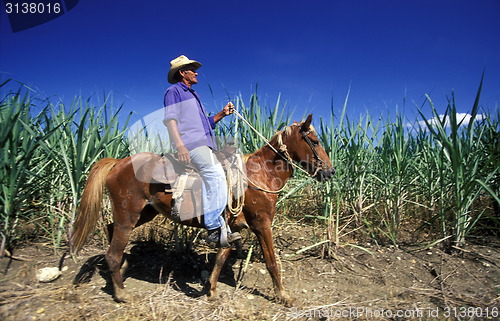 Image of AMERICA CUBA HOLGUIN