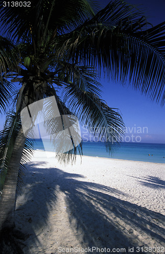 Image of AMERICA CUBA VARADERO BEACH