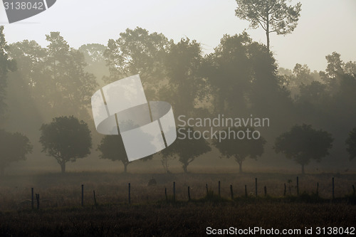 Image of ASIA THAILAND ISAN AMNAT CHAROEN