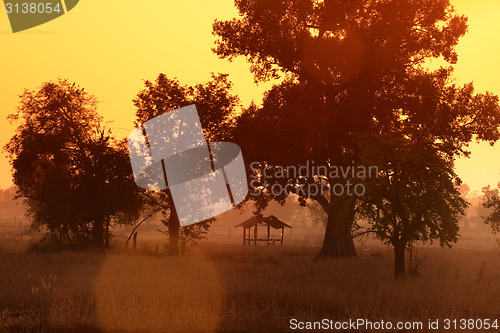 Image of ASIA THAILAND ISAN AMNAT CHAROEN