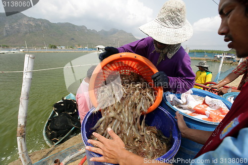 Image of ASIA THAILAND HUA HIN KHAO SAM ROI YOT