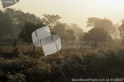 Image of ASIA THAILAND ISAN AMNAT CHAROEN