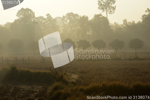 Image of ASIA THAILAND ISAN AMNAT CHAROEN