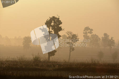 Image of ASIA THAILAND ISAN AMNAT CHAROEN