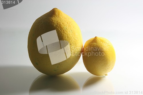Image of two lemons vertical