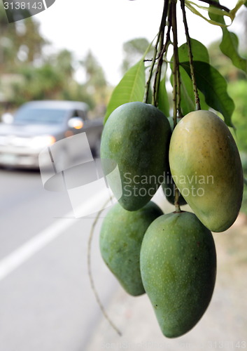 Image of ASIA THAILAND HUA HIN KHAO SAM ROI YOT