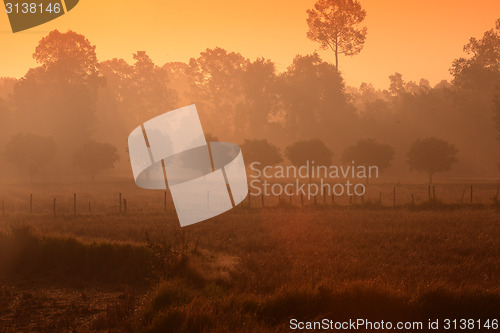 Image of ASIA THAILAND ISAN AMNAT CHAROEN