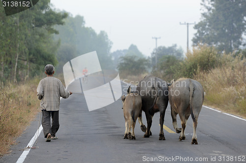 Image of ASIA THAILAND ISAN AMNAT CHAROEN