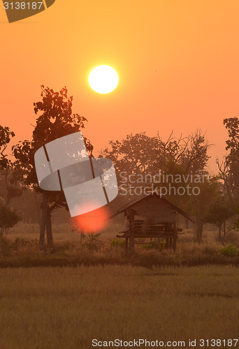 Image of ASIA THAILAND ISAN AMNAT CHAROEN