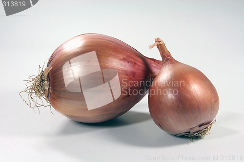 Image of two dry onions