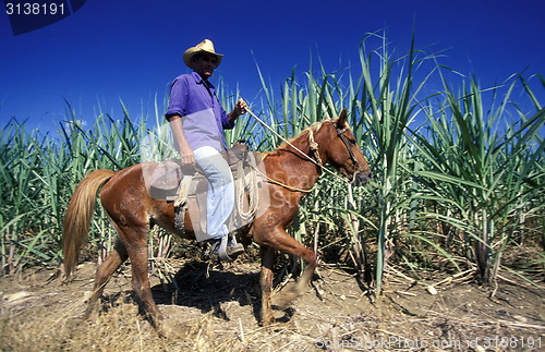 Image of AMERICA CUBA HOLGUIN