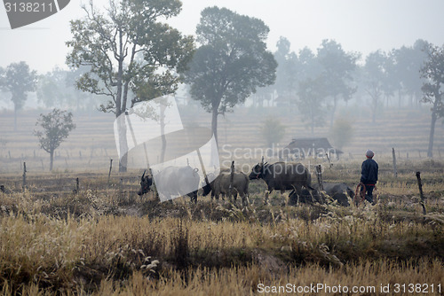 Image of ASIA THAILAND ISAN AMNAT CHAROEN