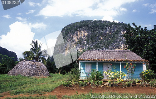 Image of AMERICA CUBA VINALES