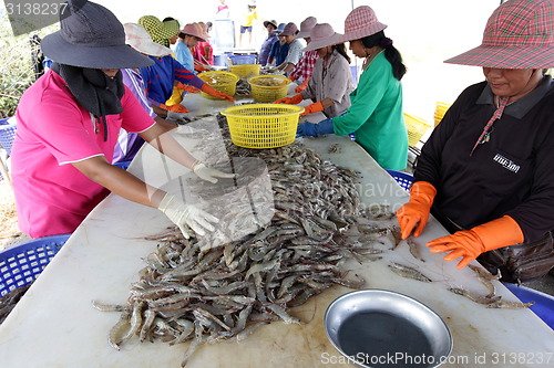 Image of ASIA THAILAND HUA HIN KHAO SAM ROI YOT