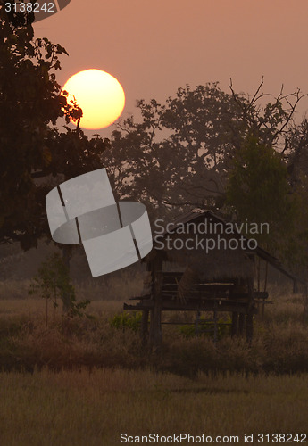 Image of ASIA THAILAND ISAN AMNAT CHAROEN