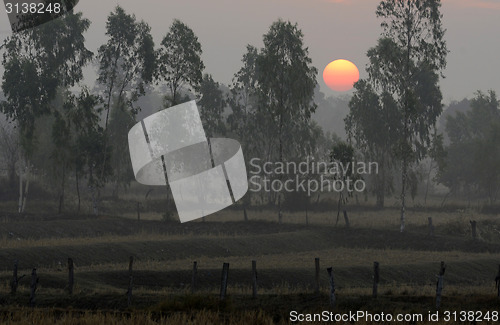Image of ASIA THAILAND ISAN AMNAT CHAROEN
