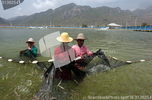 Image of ASIA THAILAND HUA HIN KHAO SAM ROI YOT