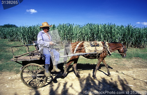 Image of AMERICA CUBA HOLGUIN