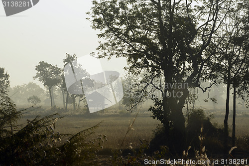 Image of ASIA THAILAND ISAN AMNAT CHAROEN