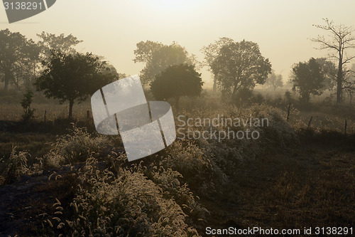 Image of ASIA THAILAND ISAN AMNAT CHAROEN