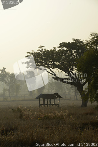 Image of ASIA THAILAND ISAN AMNAT CHAROEN