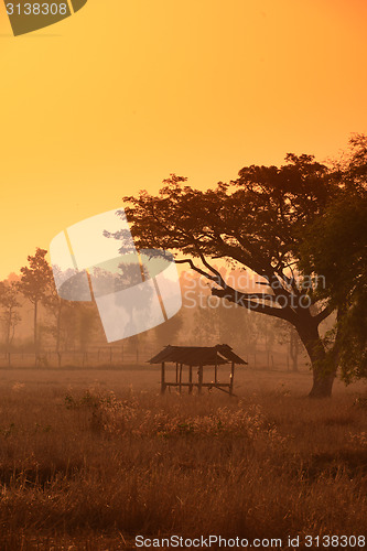 Image of ASIA THAILAND ISAN AMNAT CHAROEN