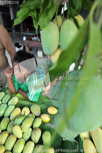 Image of ASIA THAILAND HUA HIN KHAO SAM ROI YOT