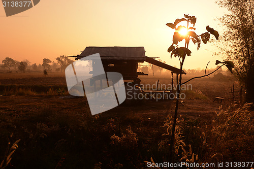 Image of ASIA THAILAND ISAN AMNAT CHAROEN