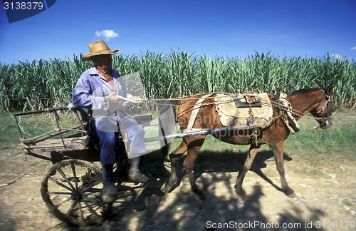 Image of AMERICA CUBA HOLGUIN