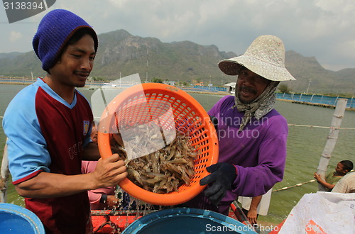 Image of ASIA THAILAND HUA HIN KHAO SAM ROI YOT