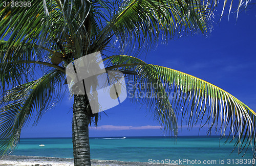 Image of AMERICA CUBA VARADERO BEACH