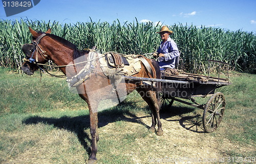 Image of AMERICA CUBA HOLGUIN