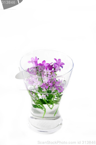 Image of Spring flowers in vase