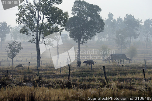 Image of ASIA THAILAND ISAN AMNAT CHAROEN