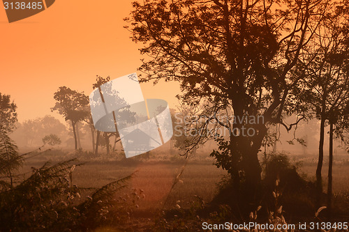 Image of ASIA THAILAND ISAN AMNAT CHAROEN