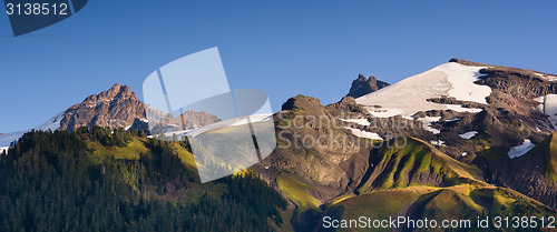 Image of Cascade Range Pacific Crest Trail Heliotrope Ridge Mt. Baker