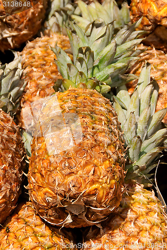 Image of Pineapples for sale